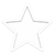 Star Performer Pro